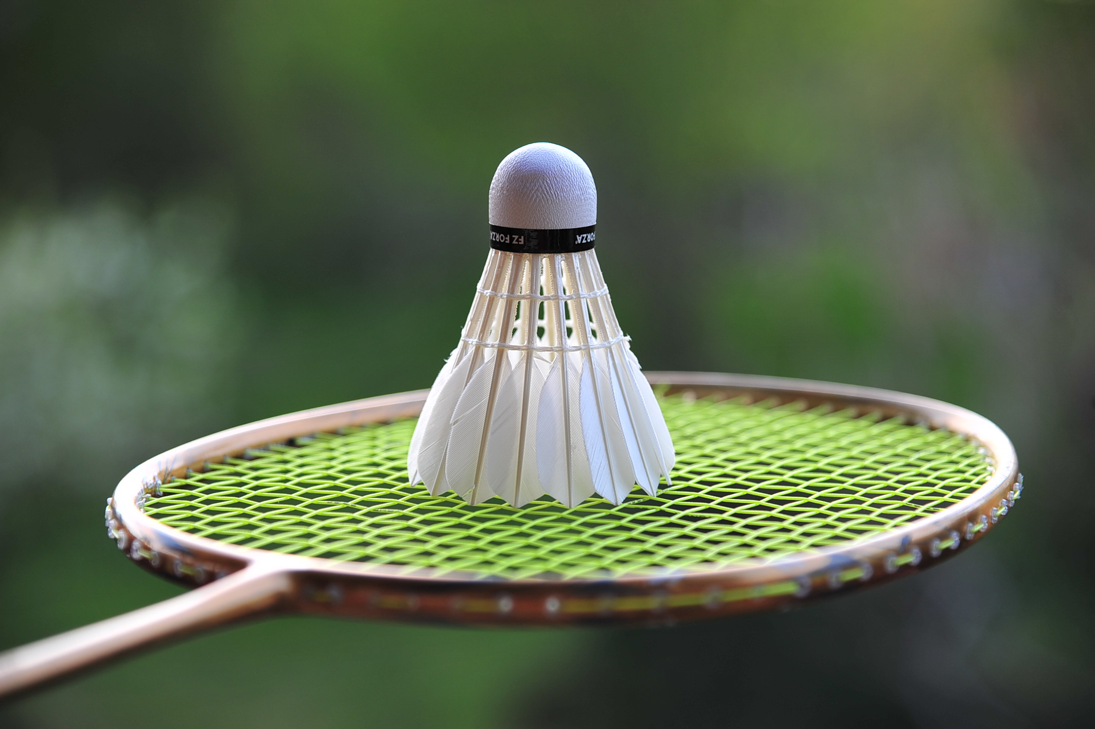 Om klubben – Asker Badminton